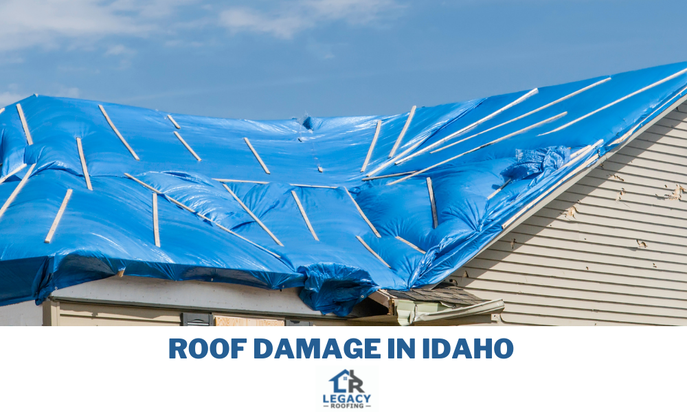 common types of roof damage in idaho