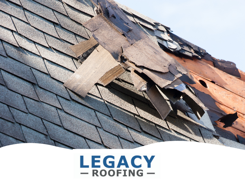 Roof Damage: 8 Obvious Signs to Watch For