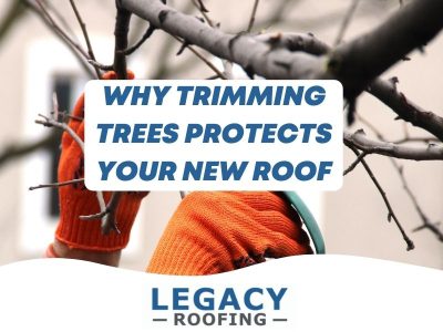 trimming trees near roof