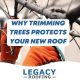 trimming trees near roof