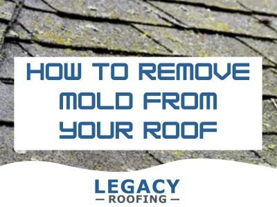 remove moss from roof