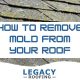 remove moss from roof