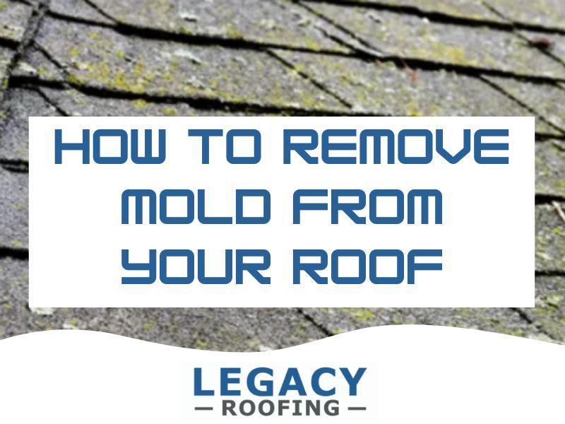 How to Remove Mold from Your Roof: Effective Techniques and Tips