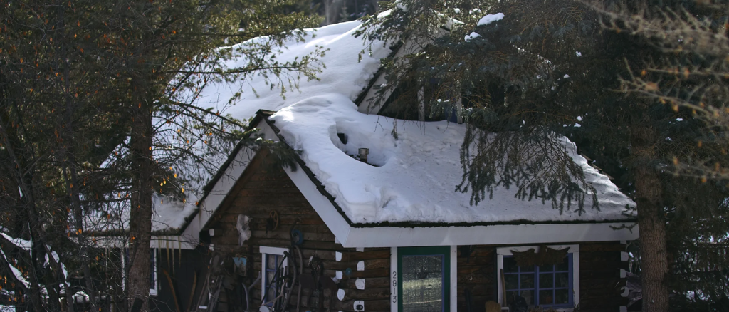 tree trimming branches near roof