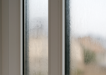 Condensation Between the Glass Panes