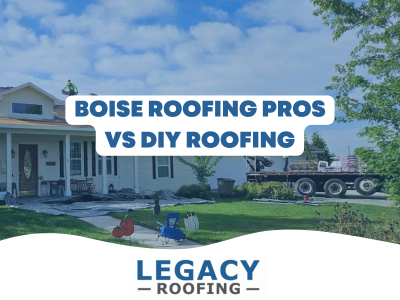boise roofing pros vs diy